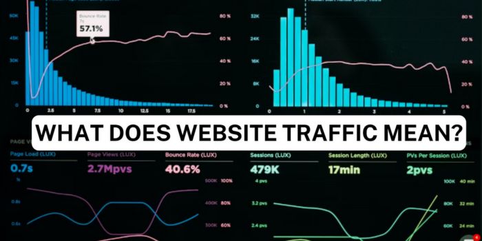 What Does Website Traffic Mean Expert Analysis