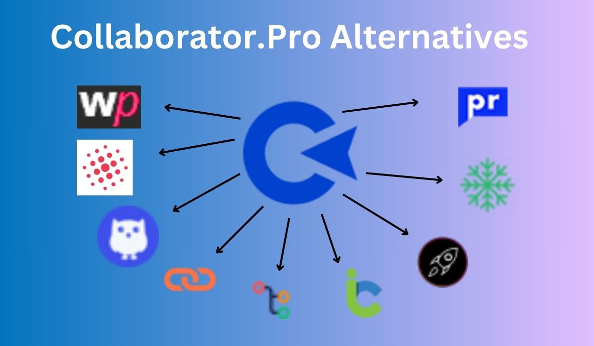 Collaborator.Pro Alternatives