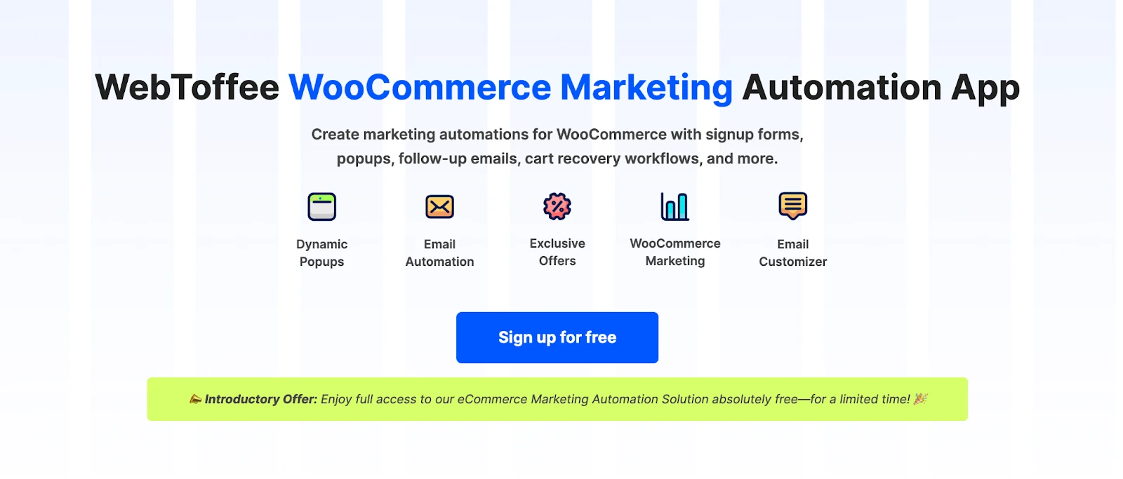 Ecommerce Marketing Automation